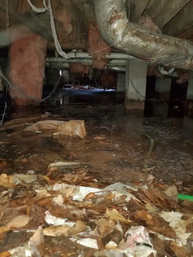 Crawl space flood assessment for Leak Detection & Repair in Lake Oswego